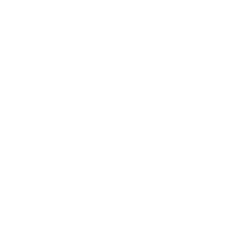 logo nintendo carrusel