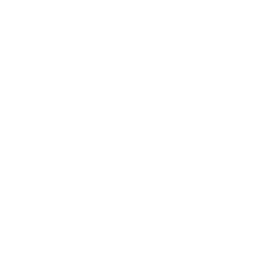 logo-ps2-carrusel