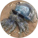 adry823 profile picture